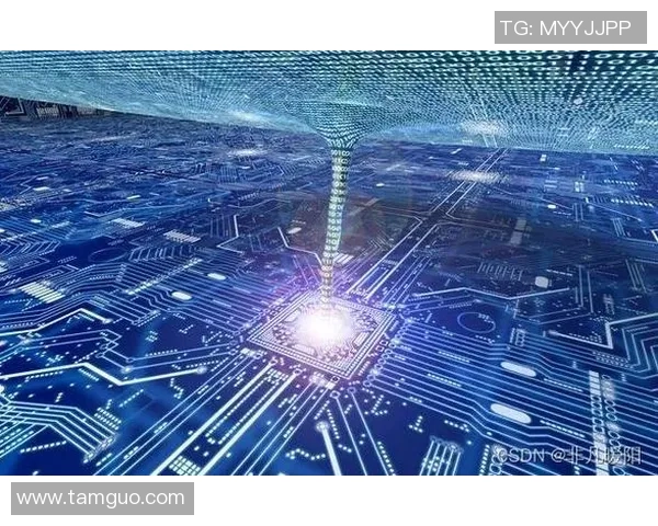 广州排球队进攻革新之路探索与实践的深度剖析与展望 广州排球队进攻革新之路探索与实践的深度剖析与展望