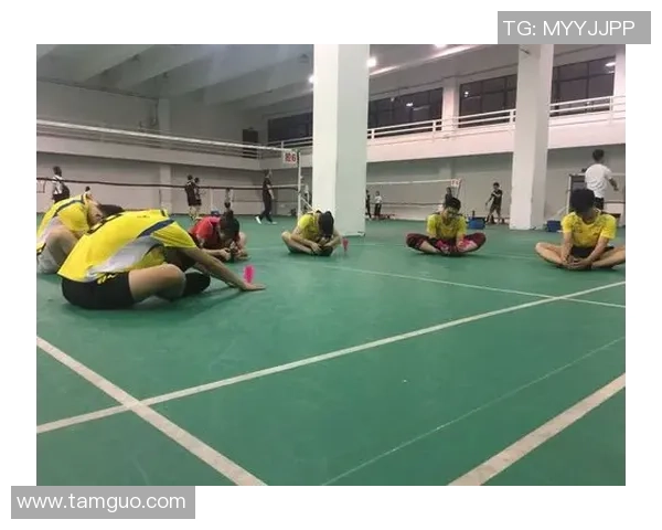 广州羽毛球队逆袭之路的真实记录与奋斗精神的展现 广州羽毛球队逆袭之路的真实记录与奋斗精神的展现