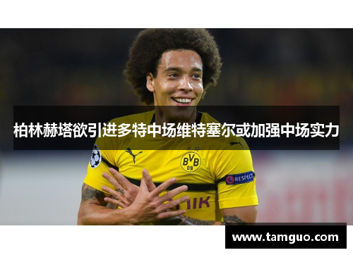 柏林赫塔欲引进多特中场维特塞尔或加强中场实力