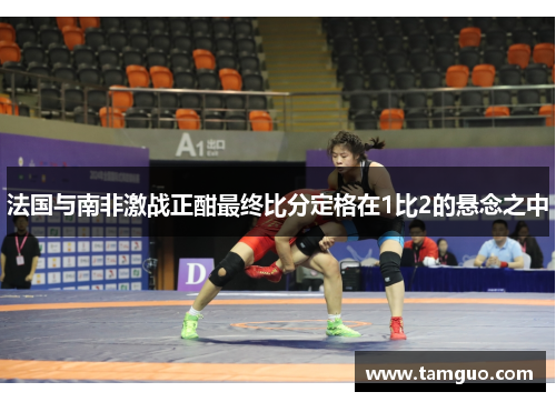 法国与南非激战正酣最终比分定格在1比2的悬念之中